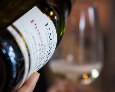 Grower sparkling wine, our model