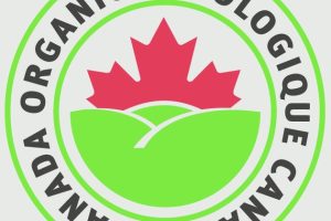 Traceability and organic wine includes this symbol printed on the bottle label