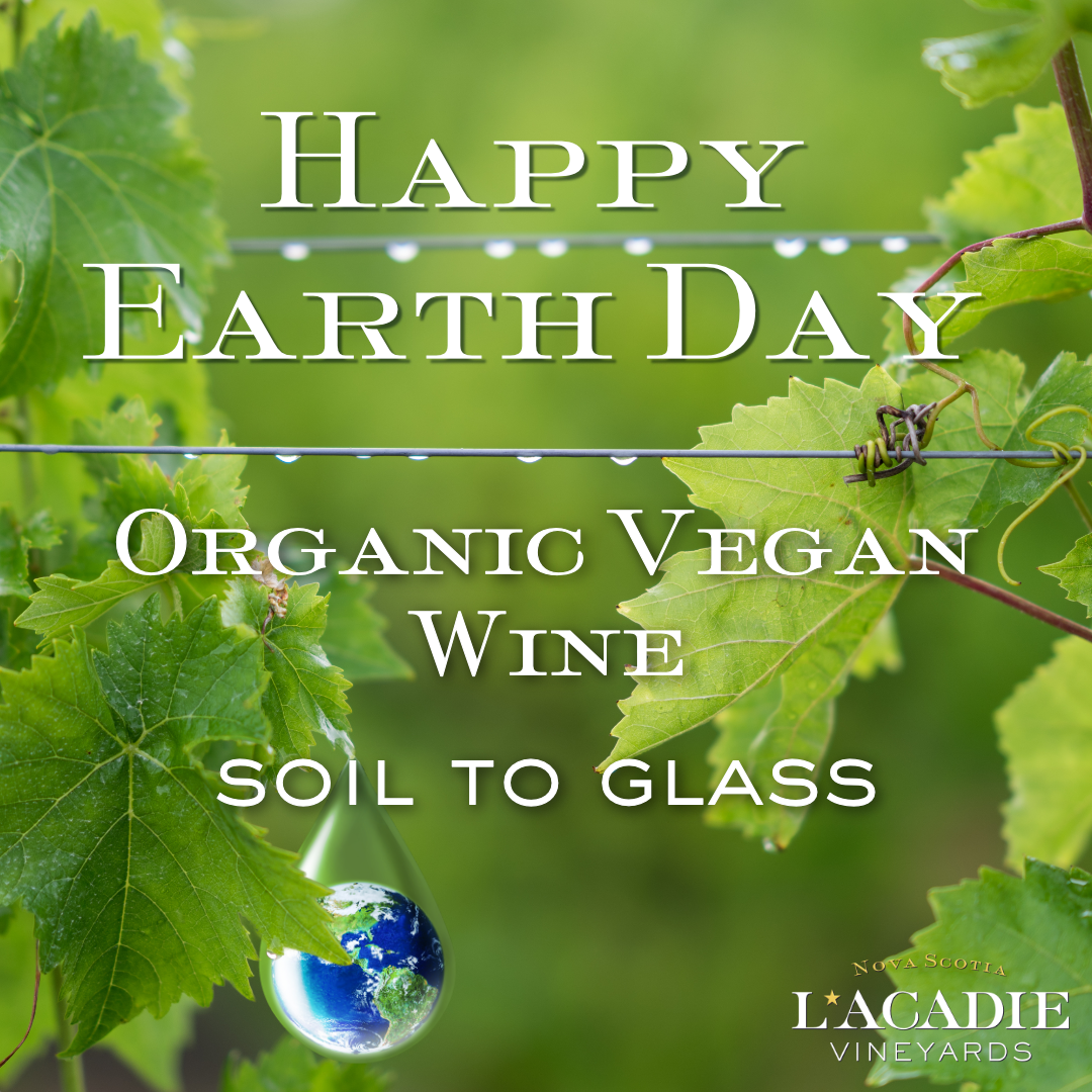 Happy earth day. Canadian organic vegan wine, soil to glass