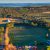 Living Soil, Living Wine: How Organic & Vegan Vineyard Practices Shape Every Bottle at L’Acadie Vineyards